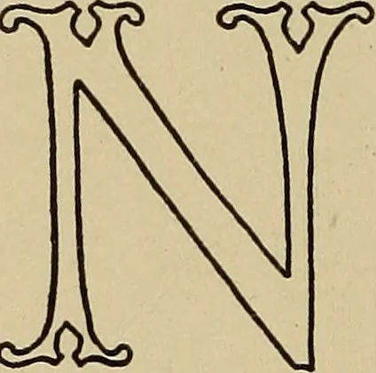An illustration from Alphabets old and new, for the use of craftsmen, 1910, leaf 151