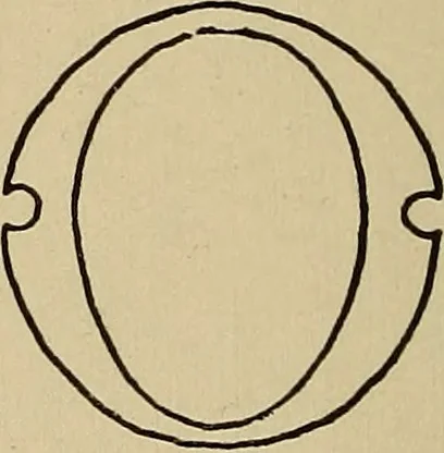 An illustration from Alphabets old and new, for the use of craftsmen, 1910, leaf 151