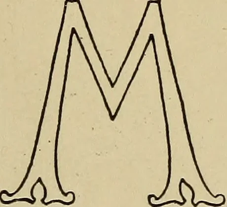 An illustration from Alphabets old and new, for the use of craftsmen, 1910, leaf 152