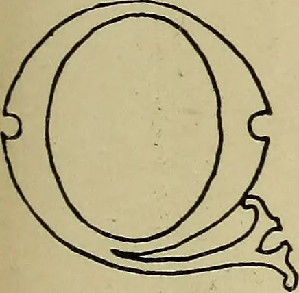 An illustration from Alphabets old and new, for the use of craftsmen, 1910, leaf 152