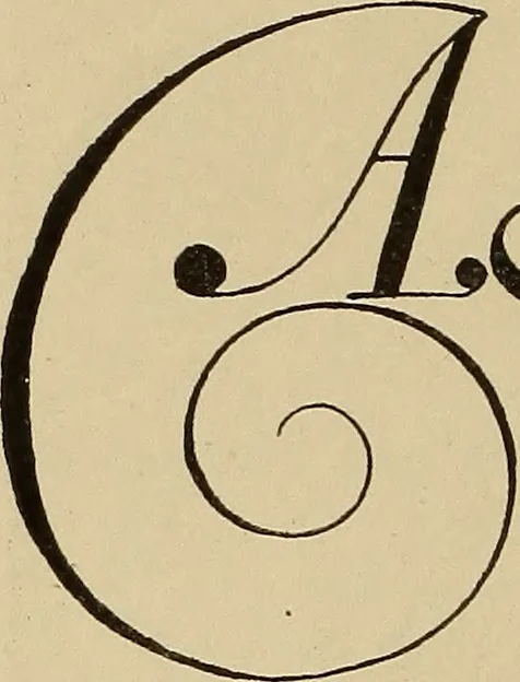 An illustration from Alphabets old and new, for the use of craftsmen, 1910, leaf 173