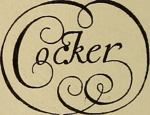 An illustration from Alphabets old and new, for the use of craftsmen, 1910, leaf 173