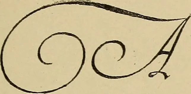 An illustration from Alphabets old and new, for the use of craftsmen, 1910, leaf 178