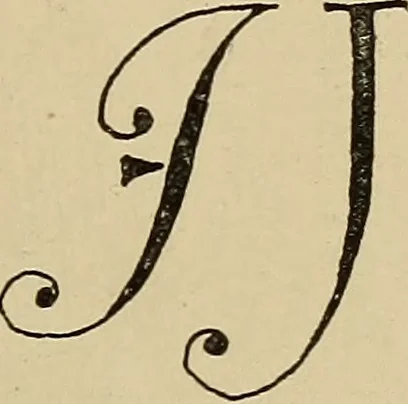 An illustration from Alphabets old and new, for the use of craftsmen, 1910, leaf 186