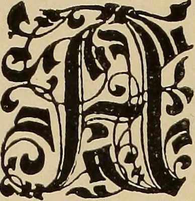 An illustration from Alphabets old and new, for the use of craftsmen, 1910, leaf 203