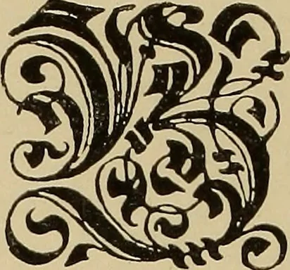 An illustration from Alphabets old and new, for the use of craftsmen, 1910, leaf 203