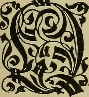 An illustration from Alphabets old and new, for the use of craftsmen, 1910, leaf 204