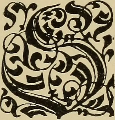 An illustration from Alphabets old and new, for the use of craftsmen, 1910, leaf 204