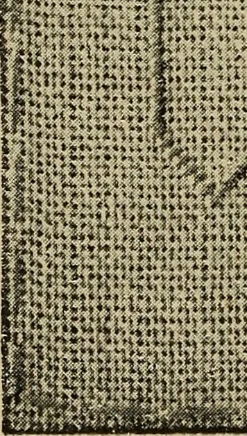 An illustration from Alphabets old and new, for the use of craftsmen, 1910, leaf 237