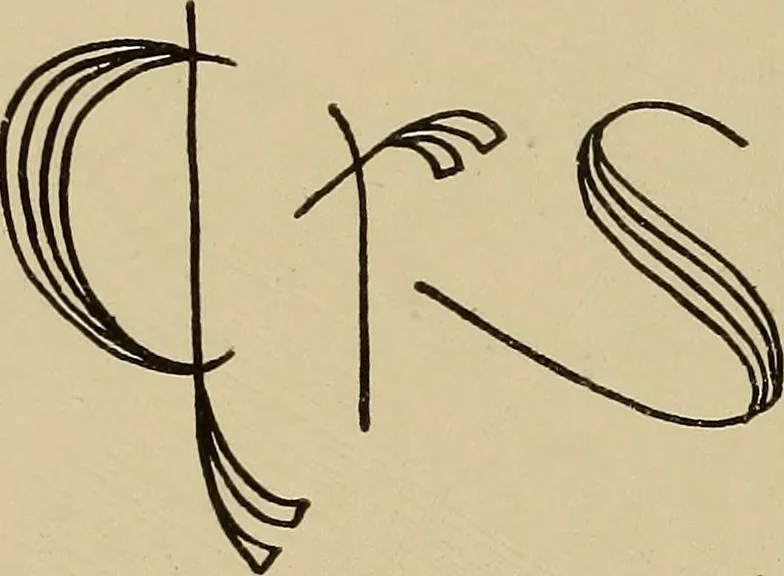 An illustration from Alphabets old and new, for the use of craftsmen, 1910, leaf 243