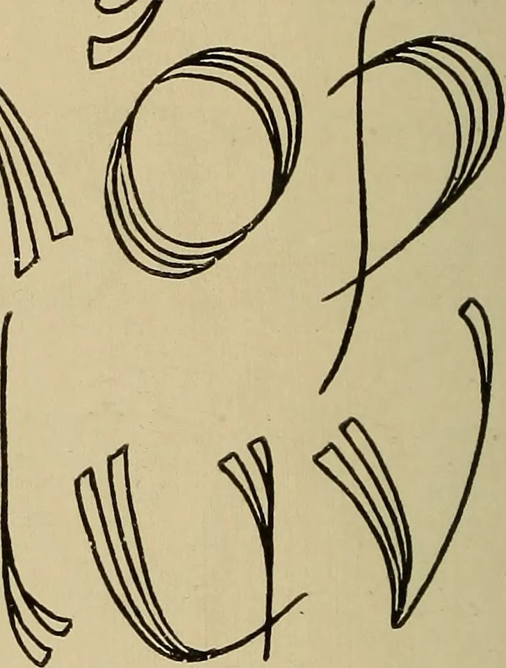 An illustration from Alphabets old and new, for the use of craftsmen, 1910, leaf 243