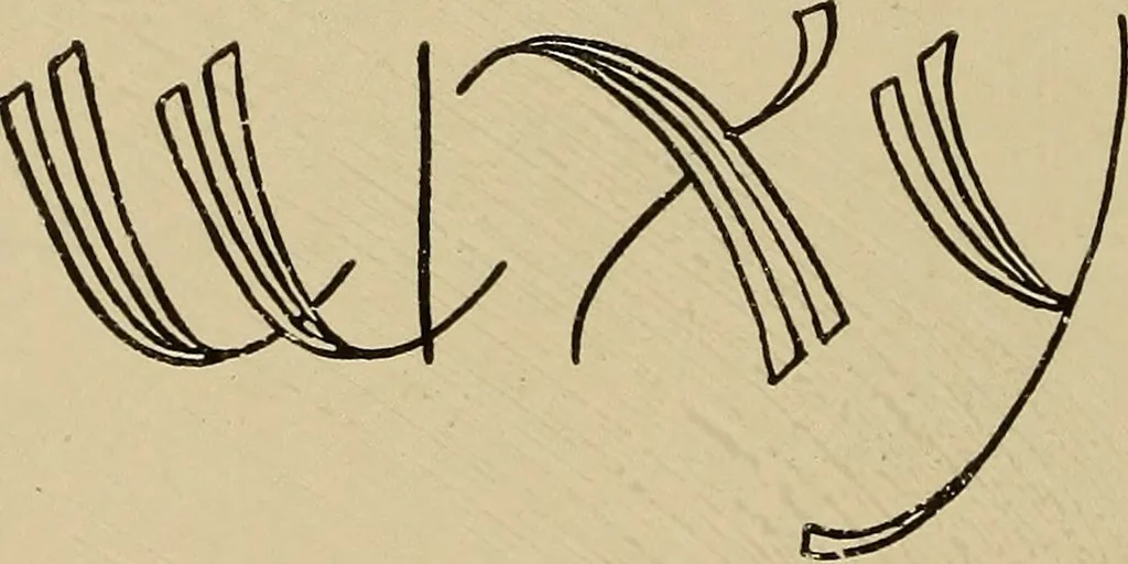 An illustration from Alphabets old and new, for the use of craftsmen, 1910, leaf 243