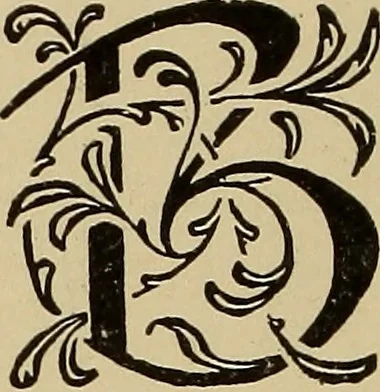 An illustration from Alphabets old and new, for the use of craftsmen, 1910, leaf 263