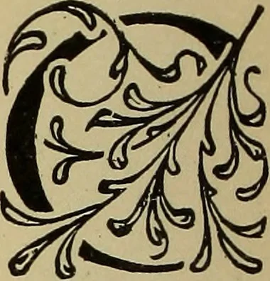 An illustration from Alphabets old and new, for the use of craftsmen, 1910, leaf 263