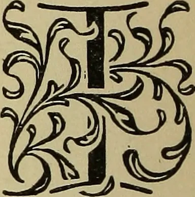 An illustration from Alphabets old and new, for the use of craftsmen, 1910, leaf 263