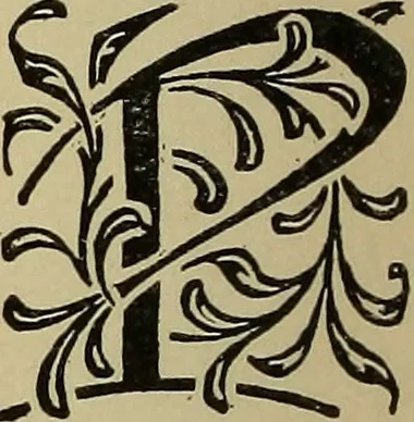 An illustration from Alphabets old and new, for the use of craftsmen, 1910, leaf 263