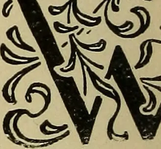 An illustration from Alphabets old and new, for the use of craftsmen, 1910, leaf 263