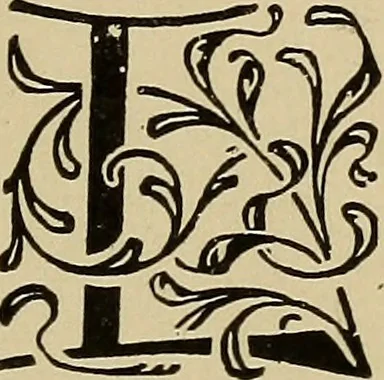 An illustration from Alphabets old and new, for the use of craftsmen, 1910, leaf 264