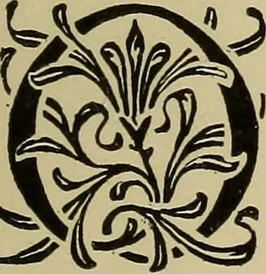 An illustration from Alphabets old and new, for the use of craftsmen, 1910, leaf 264