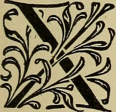 An illustration from Alphabets old and new, for the use of craftsmen, 1910, leaf 264