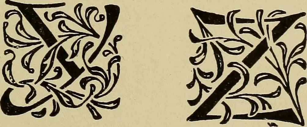 An illustration from Alphabets old and new, for the use of craftsmen, 1910, leaf 264