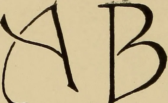 An illustration from Alphabets old and new, for the use of craftsmen, 1910, leaf 265