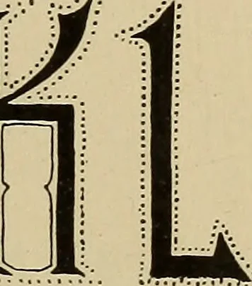 An illustration from Alphabets old and new, for the use of craftsmen, 1910, leaf 98