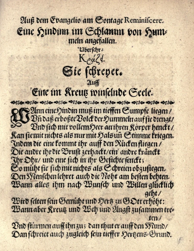 An illustration from [Alpha. Omega.] Geistliche emblemata oder Sinn-Bilder, aus den Sonntags-Evangelien vom I. Advent biss auff Trinitatis, 1675, leaf 39