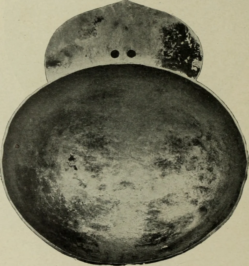An illustration from Altai-Iran und VÃ¶lkerwanderung : ziergeschichtliche Untersuchungen Ã¼ber die Eintritt der Wander- und NordvÃ¶lker in die TreibhÃ¤user geistigen Lebens, 1917, leaf 31