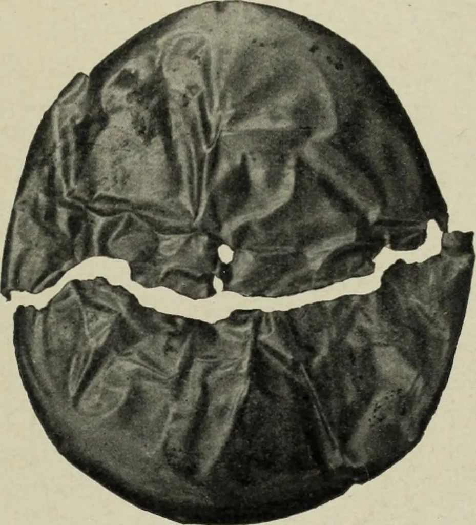 An illustration from Altai-Iran und VÃ¶lkerwanderung : ziergeschichtliche Untersuchungen Ã¼ber die Eintritt der Wander- und NordvÃ¶lker in die TreibhÃ¤user geistigen Lebens, 1917, leaf 36