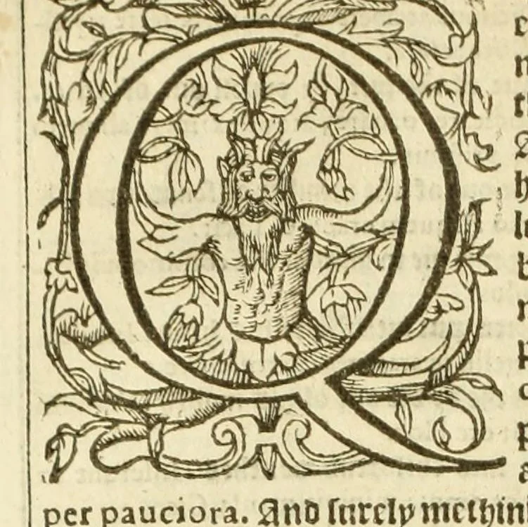 An illustration from An aluearie, or, Triple dictionarie in Englishe, Latin, and French .., 1574, leaf 504