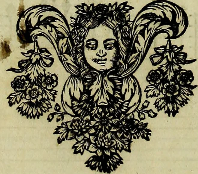 An illustration from Amadis, tragedie, 1684, leaf 325