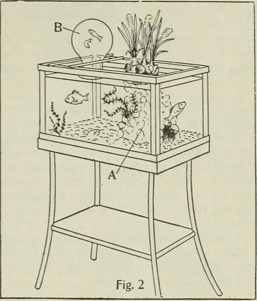 An illustration from Amateur mechanics ... a book for old and young who like to make things .., 1907, leaf 32