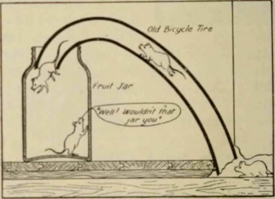 An illustration from Amateur mechanics ... a book for old and young who like to make things .., 1907, leaf 71