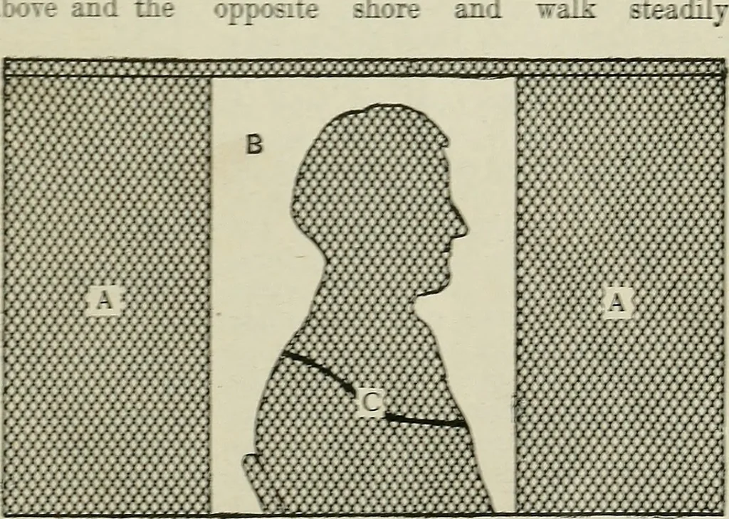 An illustration from Amateur mechanics ... a book for old and young who like to make things .., 1907, leaf 78