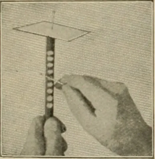 An illustration from Amateur mechanics ... a book for old and young who like to make things .., 1907, leaf 83