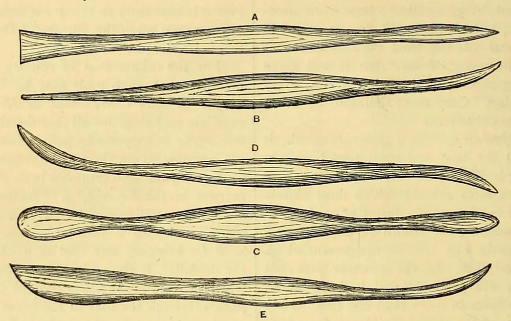An illustration from Amateur work, illustrated, 1881, leaf 170