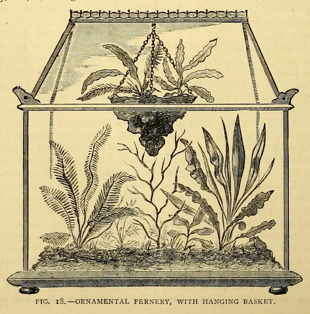 An illustration from Amateur work, illustrated, 1881, leaf 512