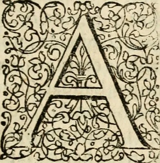 An illustration from Ambrae historiam : ad omnipotentis Dei gloriam et hominum sanitatem, 1666, leaf 12