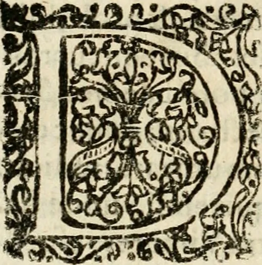 An illustration from Ambrae historiam : ad omnipotentis Dei gloriam et hominum sanitatem, 1666, leaf 15