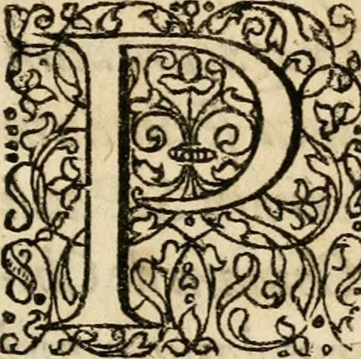 An illustration from Ambrae historiam : ad omnipotentis Dei gloriam et hominum sanitatem, 1666, leaf 8