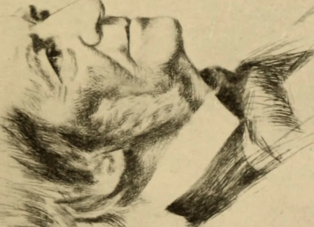 An illustration from American Graphic Art, 1912, leaf 72