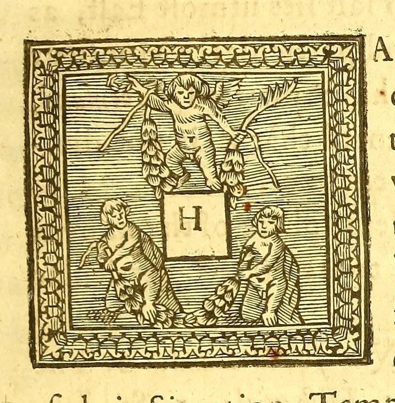 An illustration from America: being an accurate description of the Nevv VVorld; : containing the original of the inhabitants; the remarkable voyages thither: the conquest of the vast empires of Mexico and Peru, their ancient and later vvars. With their several plantations, many, and rich islands; their cities, fortresses, towns, temples, mountains, and rivers: their habits, customs, manners, and religions; their peculiar plants, beasts, birds, and serpents., 1670, leaf 161