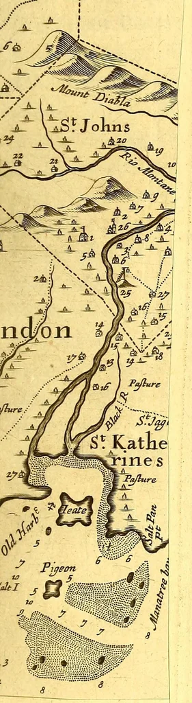 An illustration from America: being an accurate description of the Nevv VVorld; : containing the original of the inhabitants; the remarkable voyages thither: the conquest of the vast empires of Mexico and Peru, their ancient and later vvars. With their several plantations, many, and rich islands; their cities, fortresses, towns, temples, mountains, and rivers: their habits, customs, manners, and religions; their peculiar plants, beasts, birds, and serpents., 1670, leaf 447