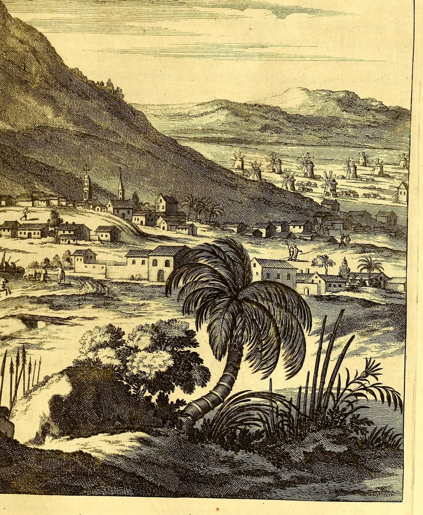 An illustration from America: being an accurate description of the Nevv VVorld; : containing the original of the inhabitants; the remarkable voyages thither: the conquest of the vast empires of Mexico and Peru, their ancient and later vvars. With their several plantations, many, and rich islands; their cities, fortresses, towns, temples, mountains, and rivers: their habits, customs, manners, and religions; their peculiar plants, beasts, birds, and serpents., 1670, leaf 607