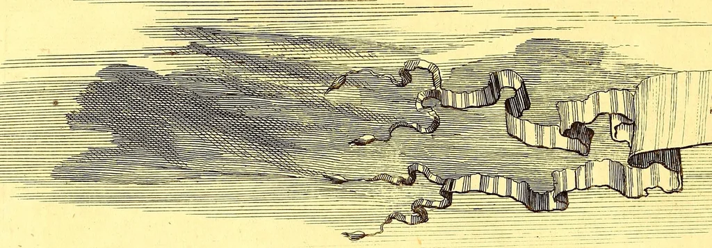 An illustration from America: being an accurate description of the Nevv VVorld; : containing the original of the inhabitants; the remarkable voyages thither: the conquest of the vast empires of Mexico and Peru, their ancient and later vvars. With their several plantations, many, and rich islands; their cities, fortresses, towns, temples, mountains, and rivers: their habits, customs, manners, and religions; their peculiar plants, beasts, birds, and serpents., 1670, leaf 702