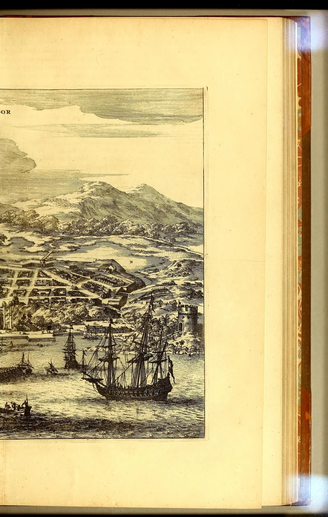 An illustration from America: being an accurate description of the Nevv VVorld; : containing the original of the inhabitants; the remarkable voyages thither: the conquest of the vast empires of Mexico and Peru, their ancient and later vvars. With their several plantations, many, and rich islands; their cities, fortresses, towns, temples, mountains, and rivers: their habits, customs, manners, and religions; their peculiar plants, beasts, birds, and serpents., 1670, leaf 709