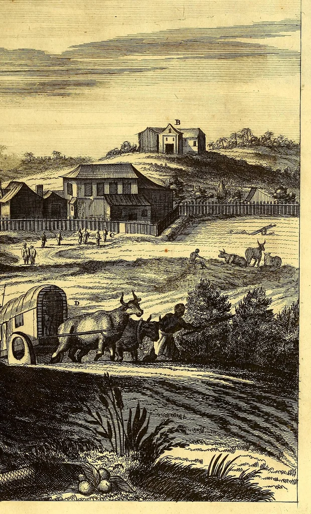 An illustration from America: being the latest, and most accurate description of the Nevv VVorld; : containing the original of the inhabitants, and the remarkable voyages thither. The conquest of the vast empires of Mexico and Peru, and other large provinces and territories, with the several European plantations in those parts. Also their cities, fortresses, towns, temples, mountains, and rivers. Their habits, customs, manners, and religions. Their plants, beasts, birds, and serpents. With an appendix, containing, besides several other considerable additions, a brief survey of what hath been discover'd of the unknown South-Land and the Arctick region., 1671, leaf 749