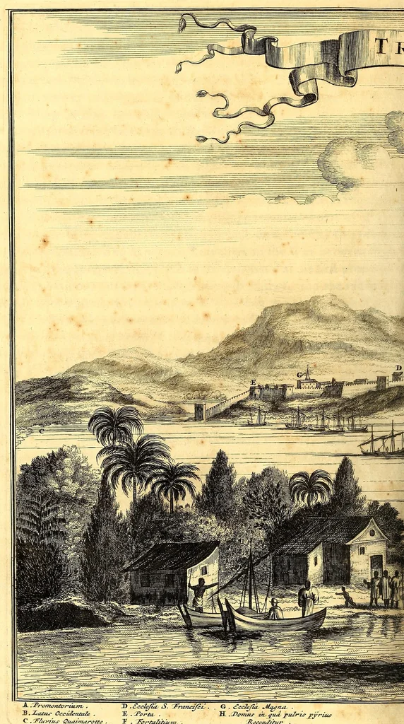 An illustration from America: being the latest, and most accurate description of the Nevv VVorld; : containing the original of the inhabitants, and the remarkable voyages thither. The conquest of the vast empires of Mexico and Peru, and other large provinces and territories, with the several European plantations in those parts. Also their cities, fortresses, towns, temples, mountains, and rivers. Their habits, customs, manners, and religions. Their plants, beasts, birds, and serpents. With an appendix, containing, besides several other considerable additions, a brief survey of what hath been discover'd of the unknown South-Land and the Arctick region., 1671, leaf 302