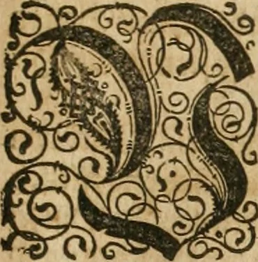 An illustration from America, das ist, Erfindung vnd Offenbahrung der Newen Welt : deroselbigen Völcker, Gestalt, Sitten, Gebräuch, Policey vnd Gottesdienst, 1617, leaf 104